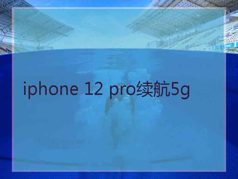 iphone 12 pro续航5g