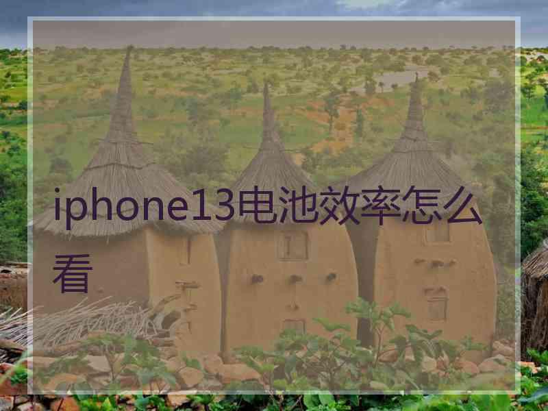 iphone13电池效率怎么看