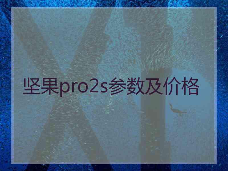 坚果pro2s参数及价格