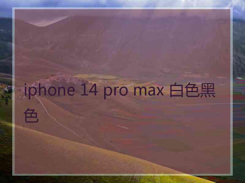 iphone 14 pro max 白色黑色