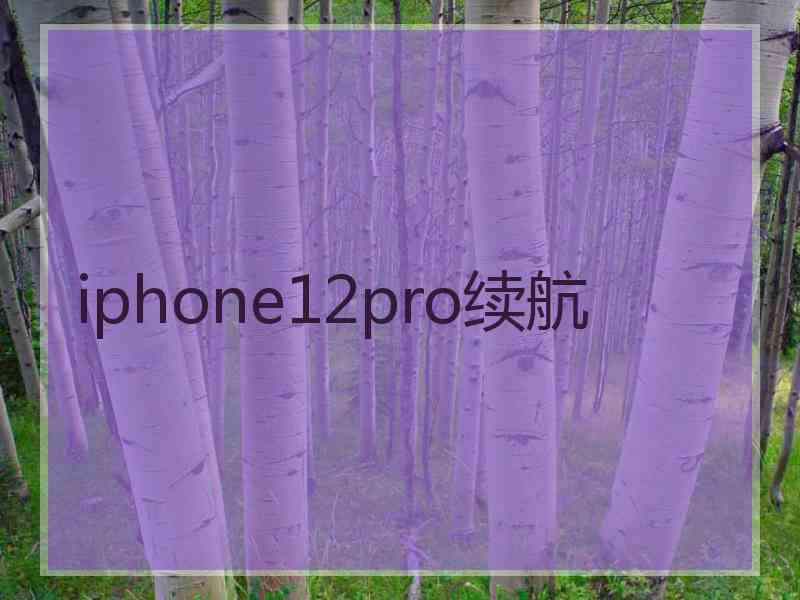 iphone12pro续航