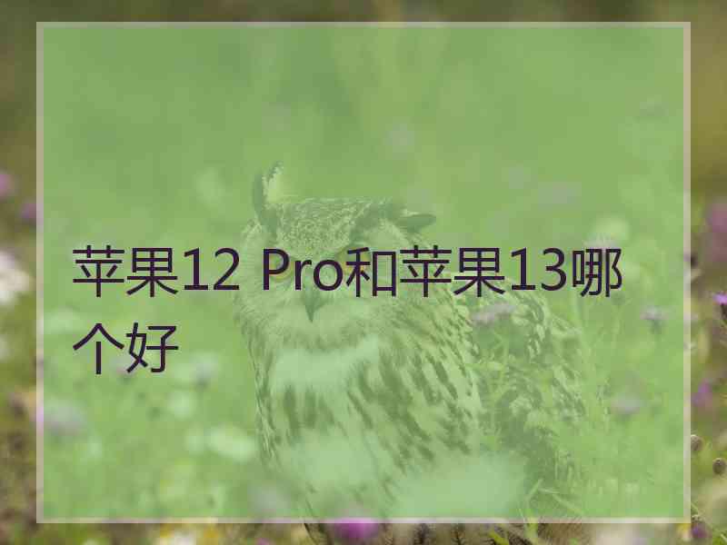 苹果12 Pro和苹果13哪个好