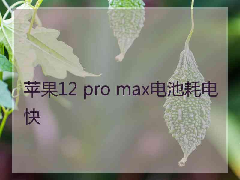 苹果12 pro max电池耗电快