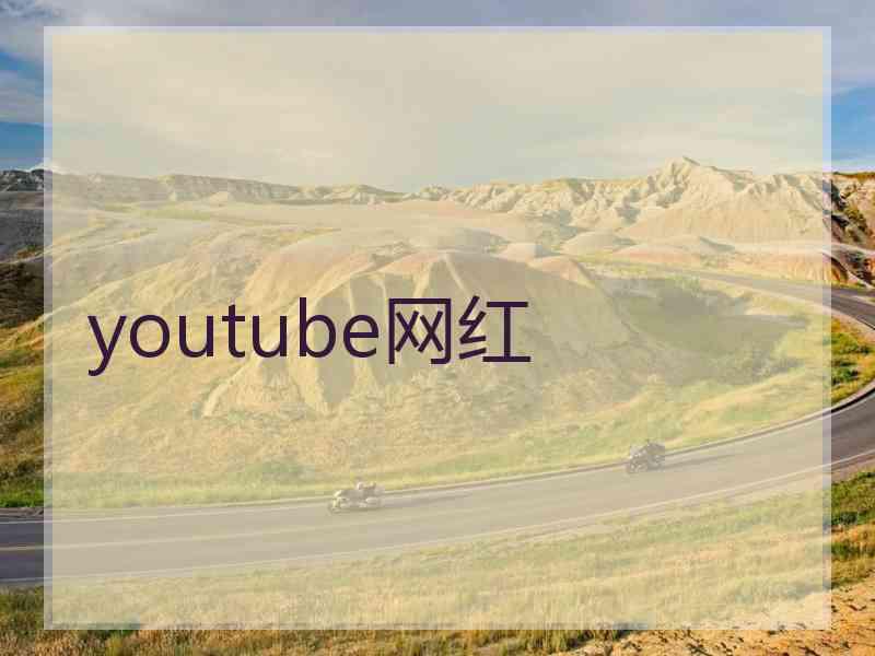 youtube网红