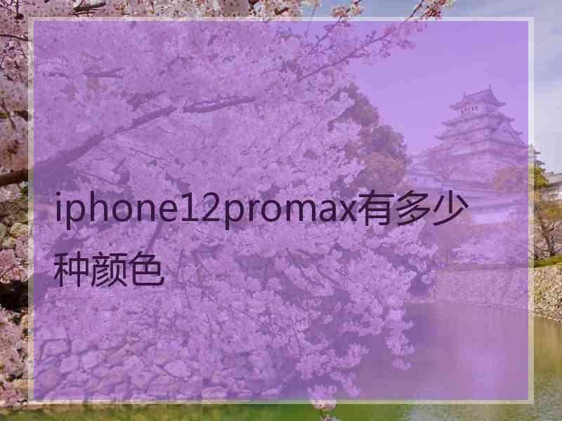 iphone12promax有多少种颜色