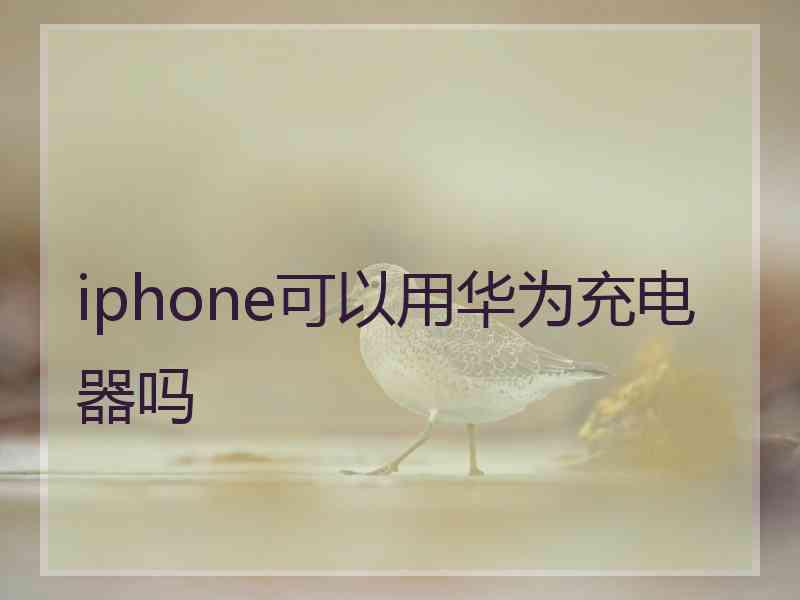 iphone可以用华为充电器吗