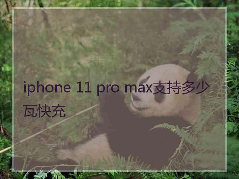 iphone 11 pro max支持多少瓦快充