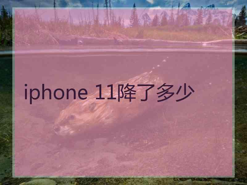 iphone 11降了多少