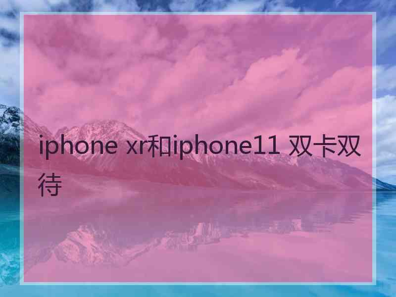 iphone xr和iphone11 双卡双待