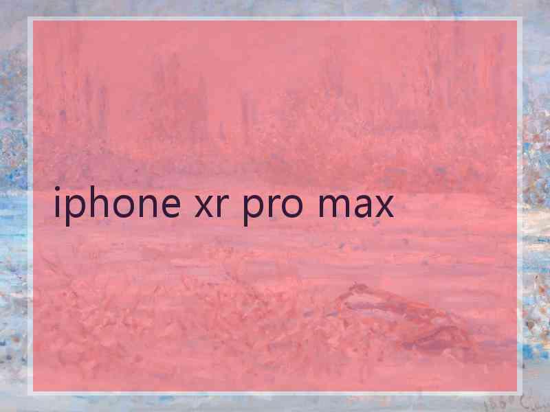 iphone xr pro max