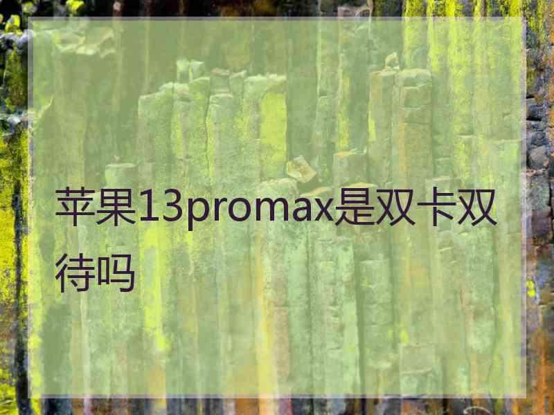 苹果13promax是双卡双待吗