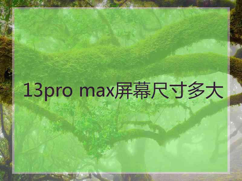 13pro max屏幕尺寸多大