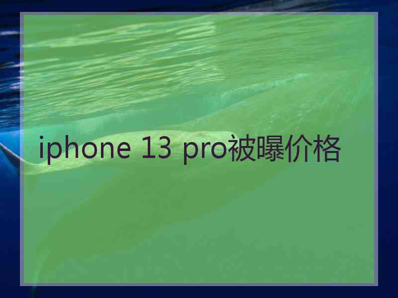 iphone 13 pro被曝价格