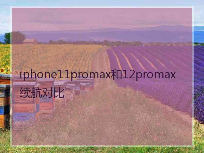 iphone11promax和12promax续航对比