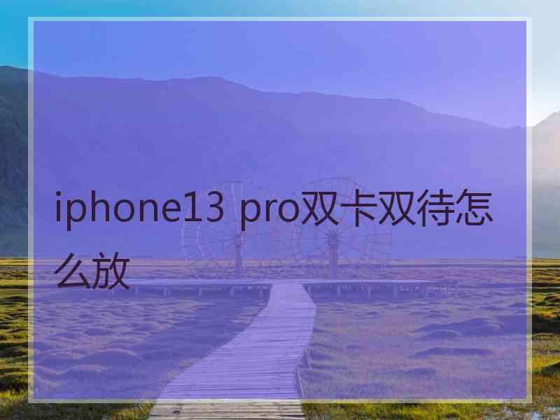 iphone13 pro双卡双待怎么放