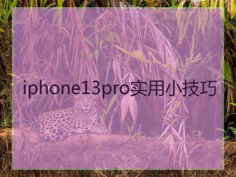 iphone13pro实用小技巧