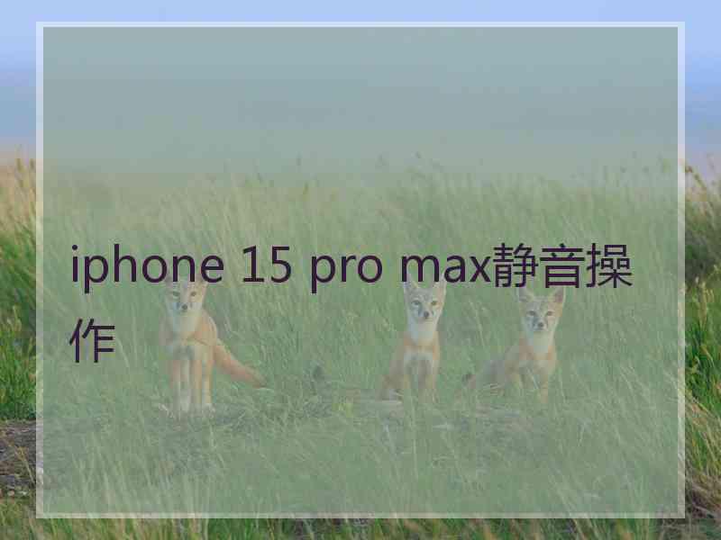 iphone 15 pro max静音操作