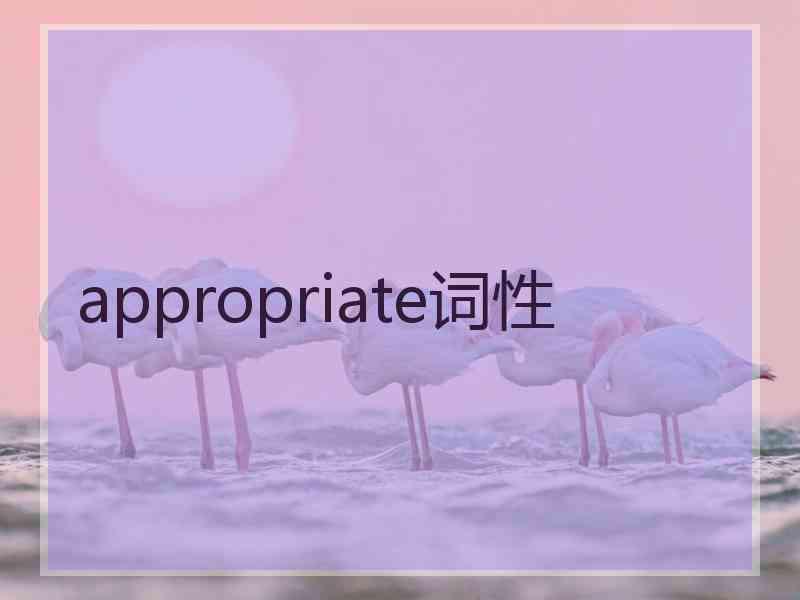 appropriate词性