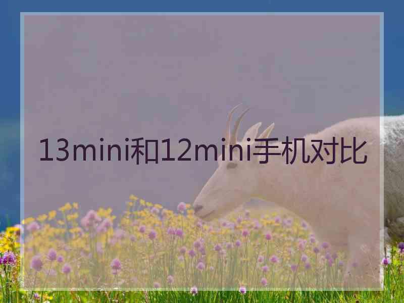 13mini和12mini手机对比