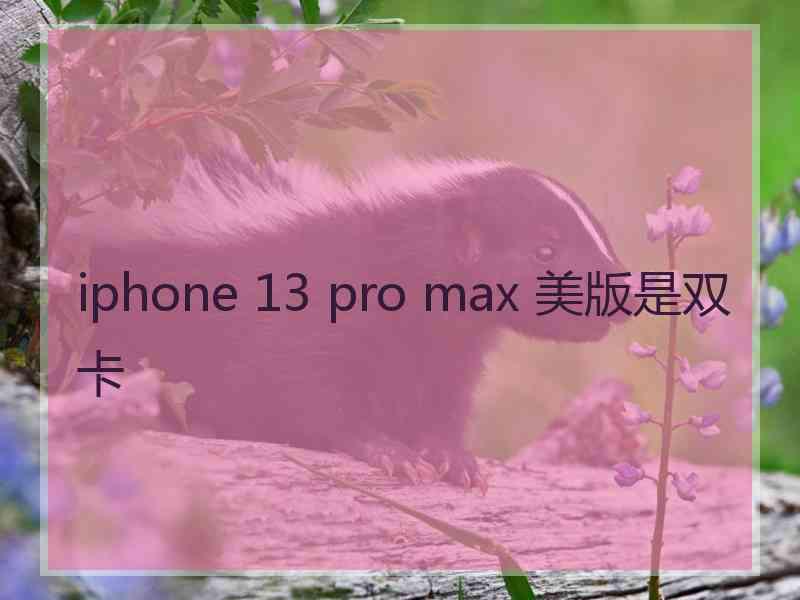 iphone 13 pro max 美版是双卡