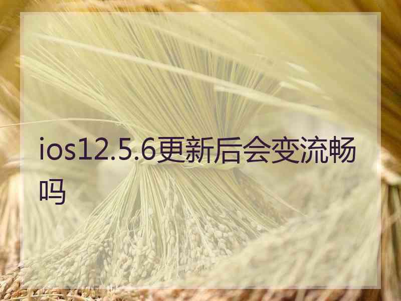 ios12.5.6更新后会变流畅吗