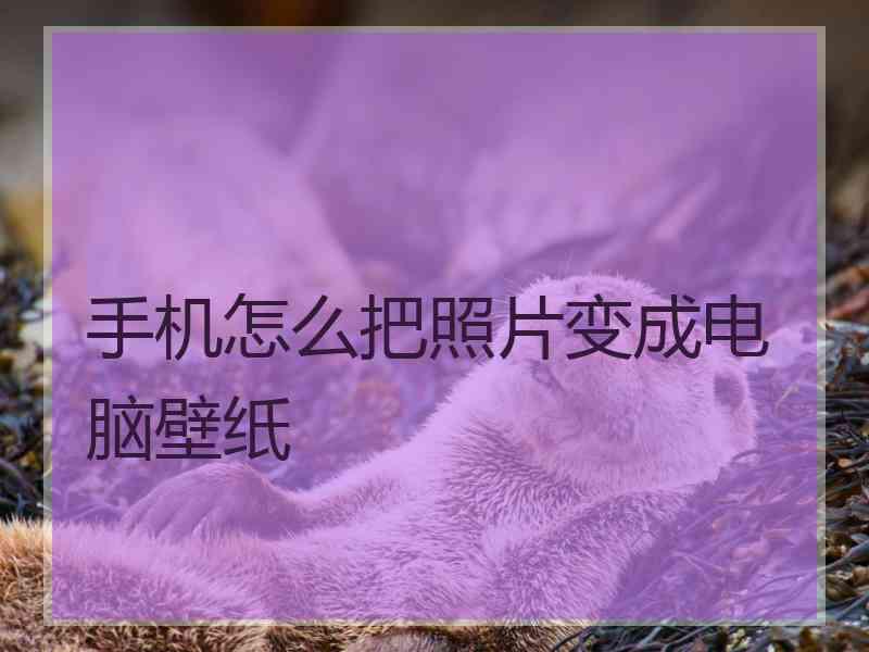 手机怎么把照片变成电脑壁纸