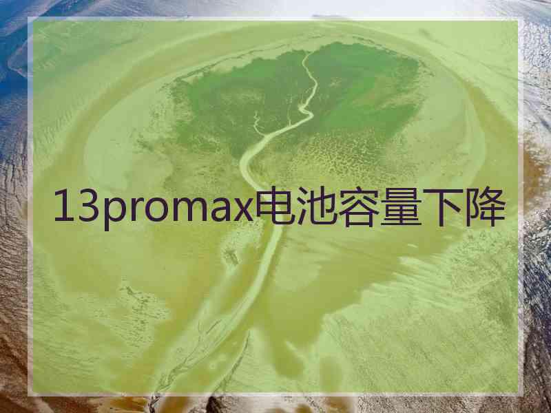 13promax电池容量下降