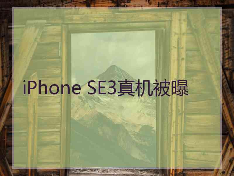 iPhone SE3真机被曝