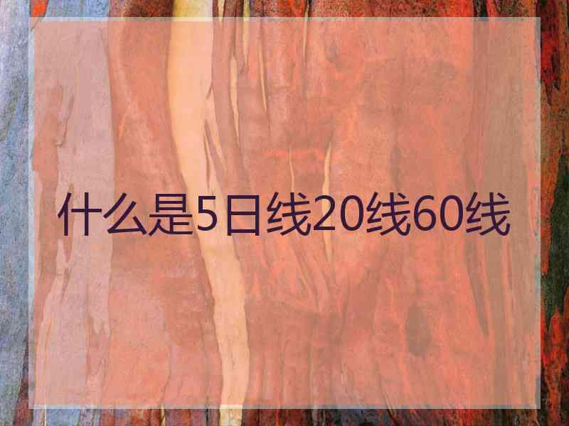 什么是5日线20线60线