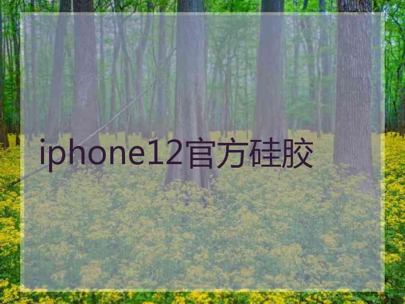 iphone12官方硅胶