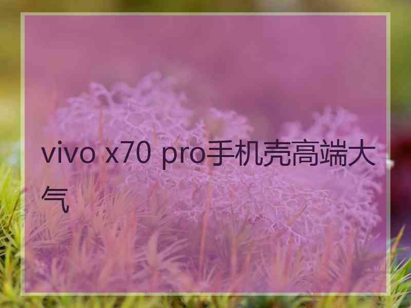 vivo x70 pro手机壳高端大气