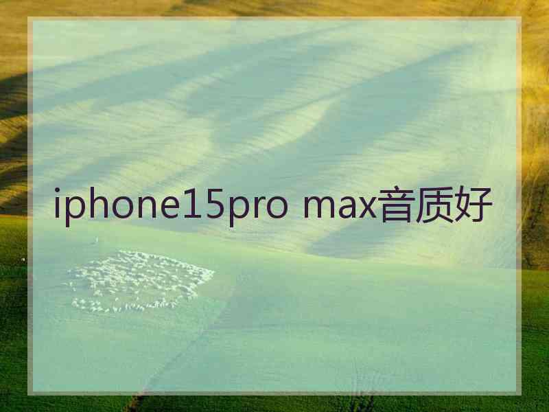 iphone15pro max音质好