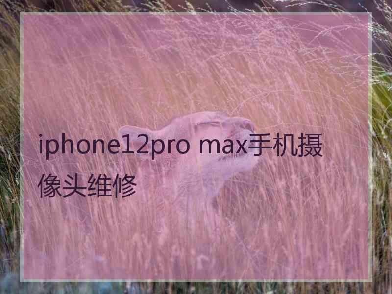 iphone12pro max手机摄像头维修