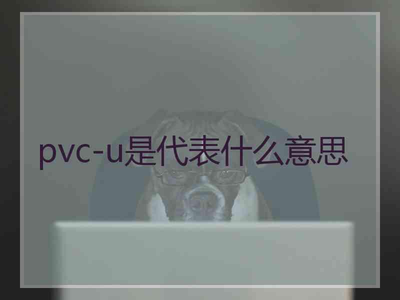 pvc-u是代表什么意思