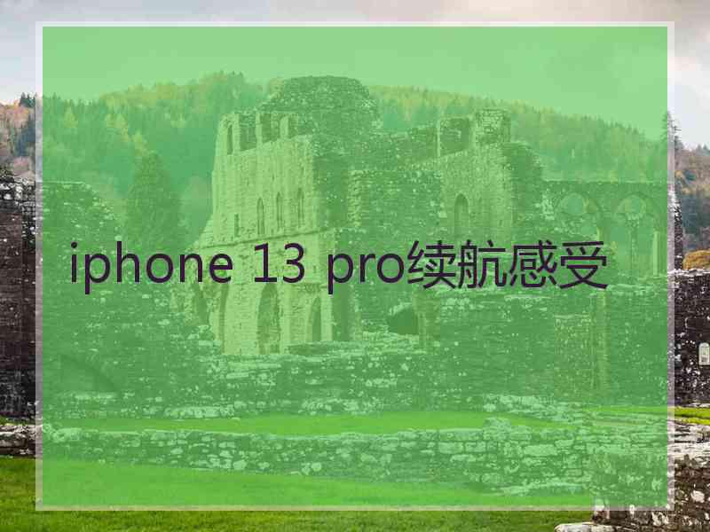 iphone 13 pro续航感受