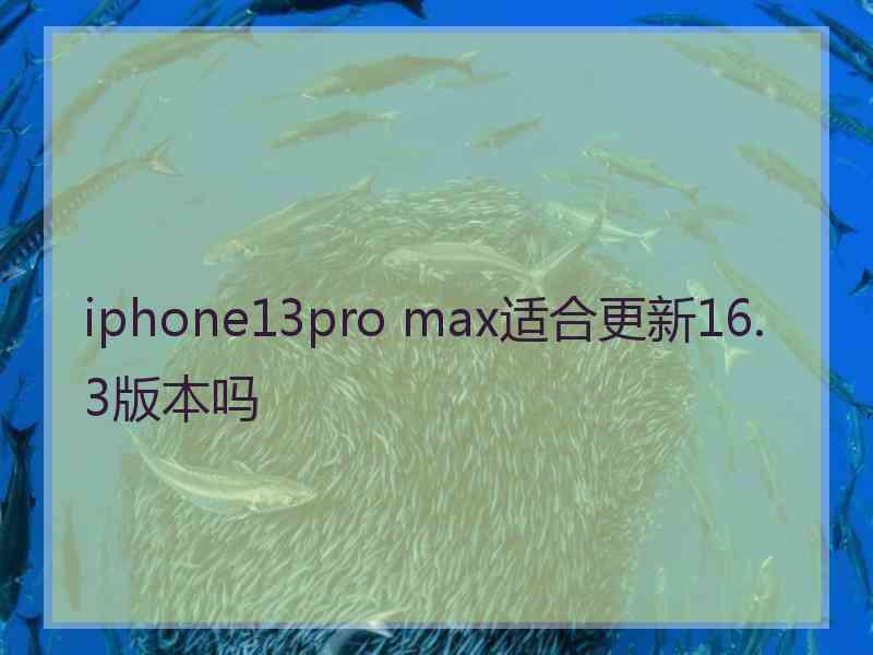 iphone13pro max适合更新16.3版本吗