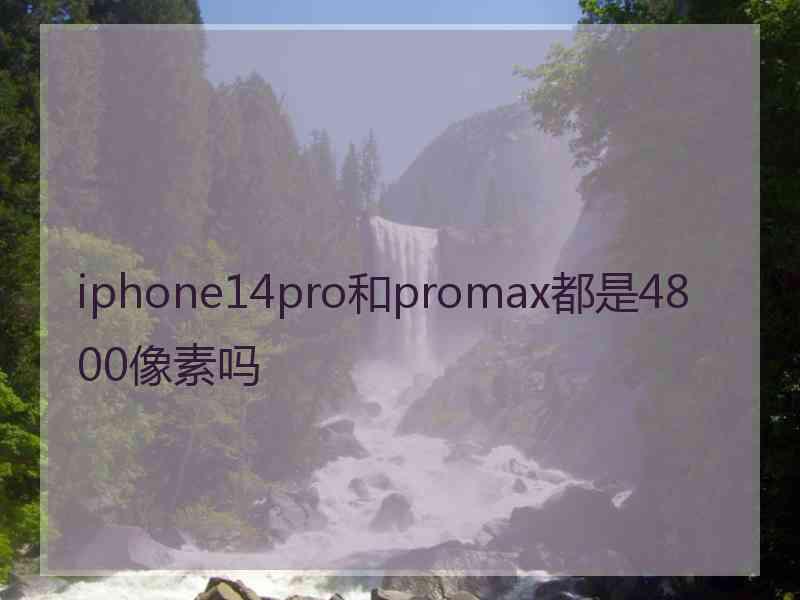 iphone14pro和promax都是4800像素吗