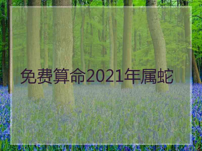 免费算命2021年属蛇