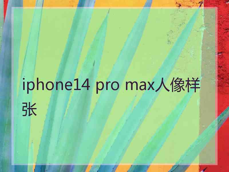 iphone14 pro max人像样张