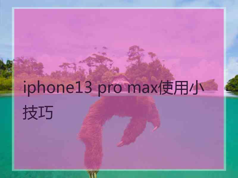 iphone13 pro max使用小技巧