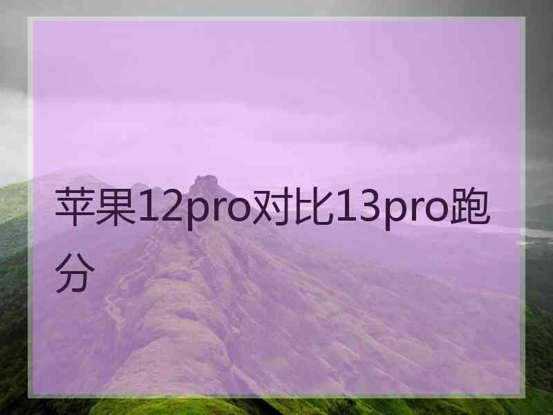 苹果12pro对比13pro跑分