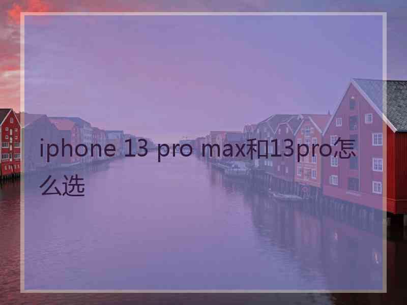 iphone 13 pro max和13pro怎么选