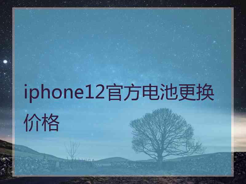 iphone12官方电池更换价格