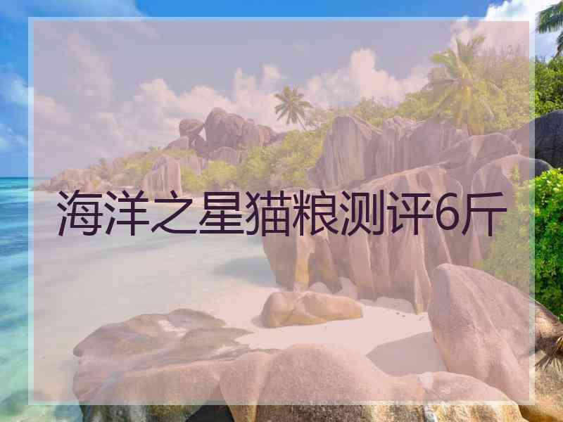 海洋之星猫粮测评6斤