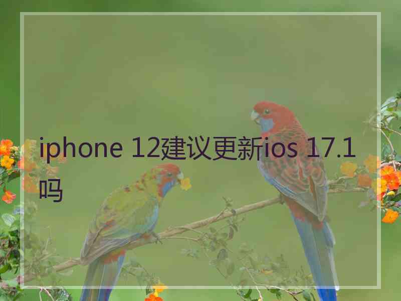 iphone 12建议更新ios 17.1吗