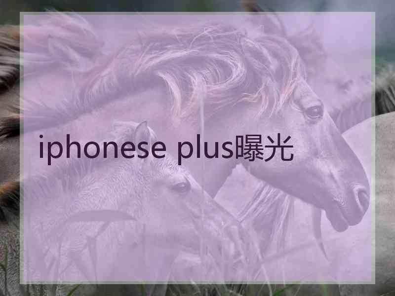 iphonese plus曝光