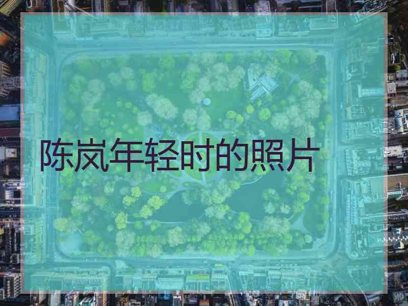 陈岚年轻时的照片