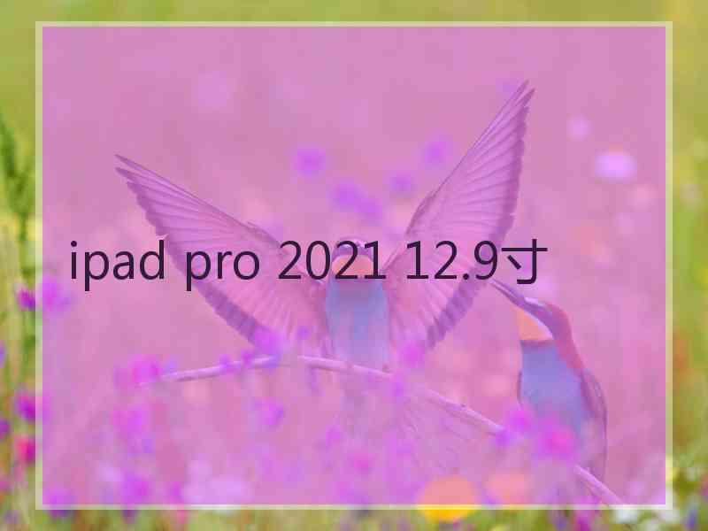 ipad pro 2021 12.9寸