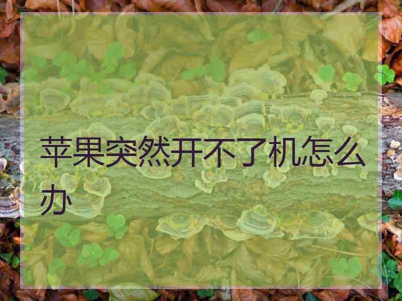 苹果突然开不了机怎么办