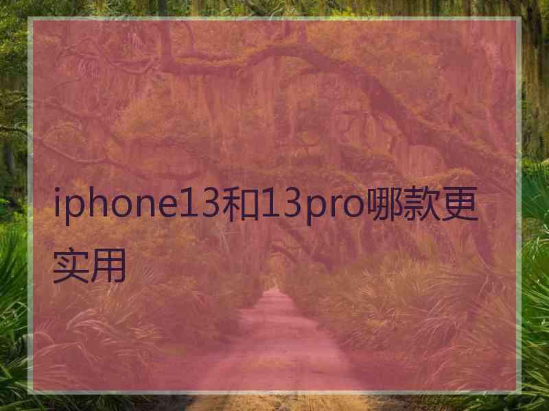 iphone13和13pro哪款更实用